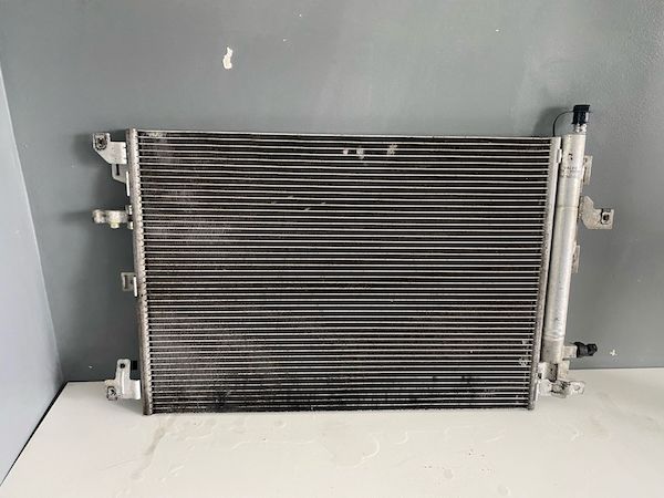 WhatsApp Image 2025-03-26 at